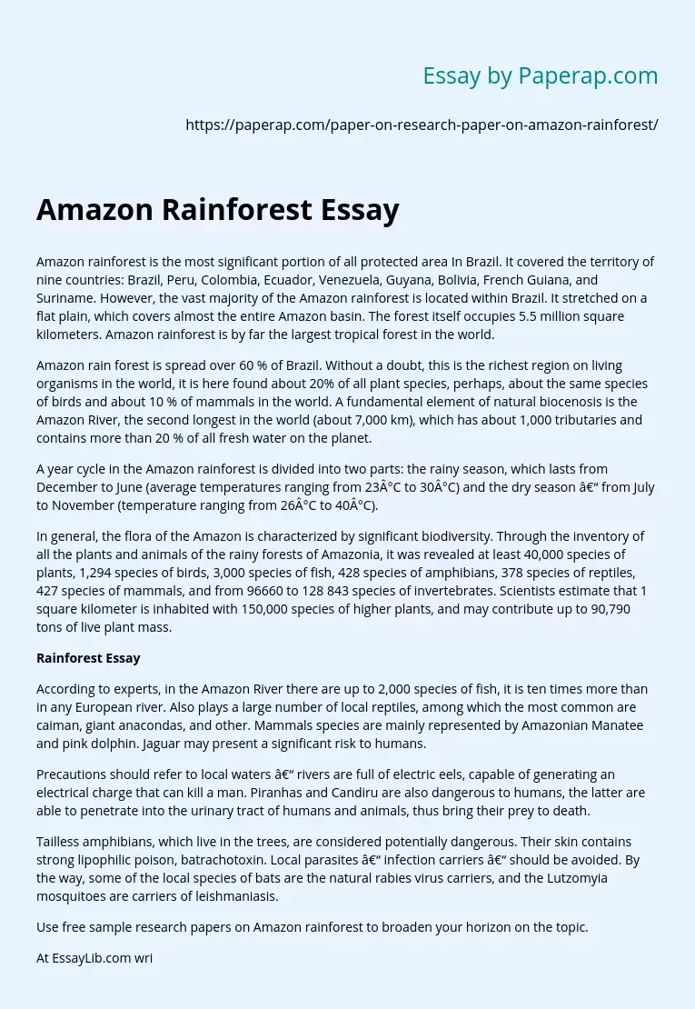 Amazon Rainforest Essay