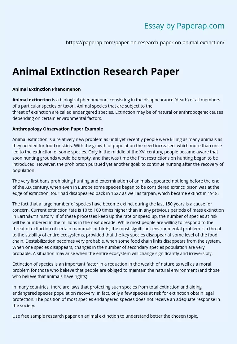 Animal Extinction Research Paper Free Essay Example