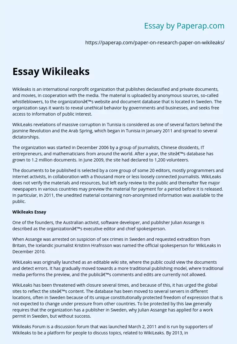 Essay Wikileaks