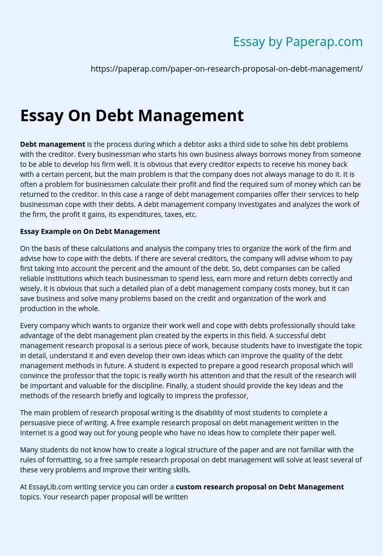 Essay On Debt Management
