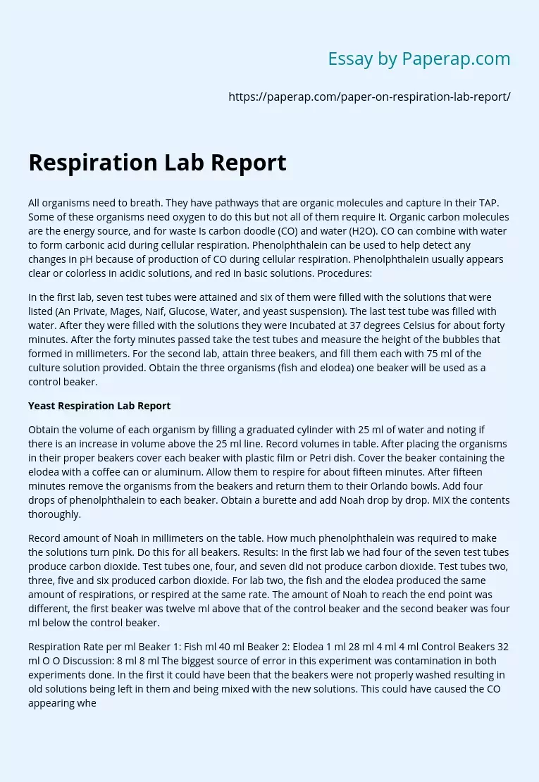 Реферат: Cellular Respiration Lab Essay Research Paper IntroductionThis