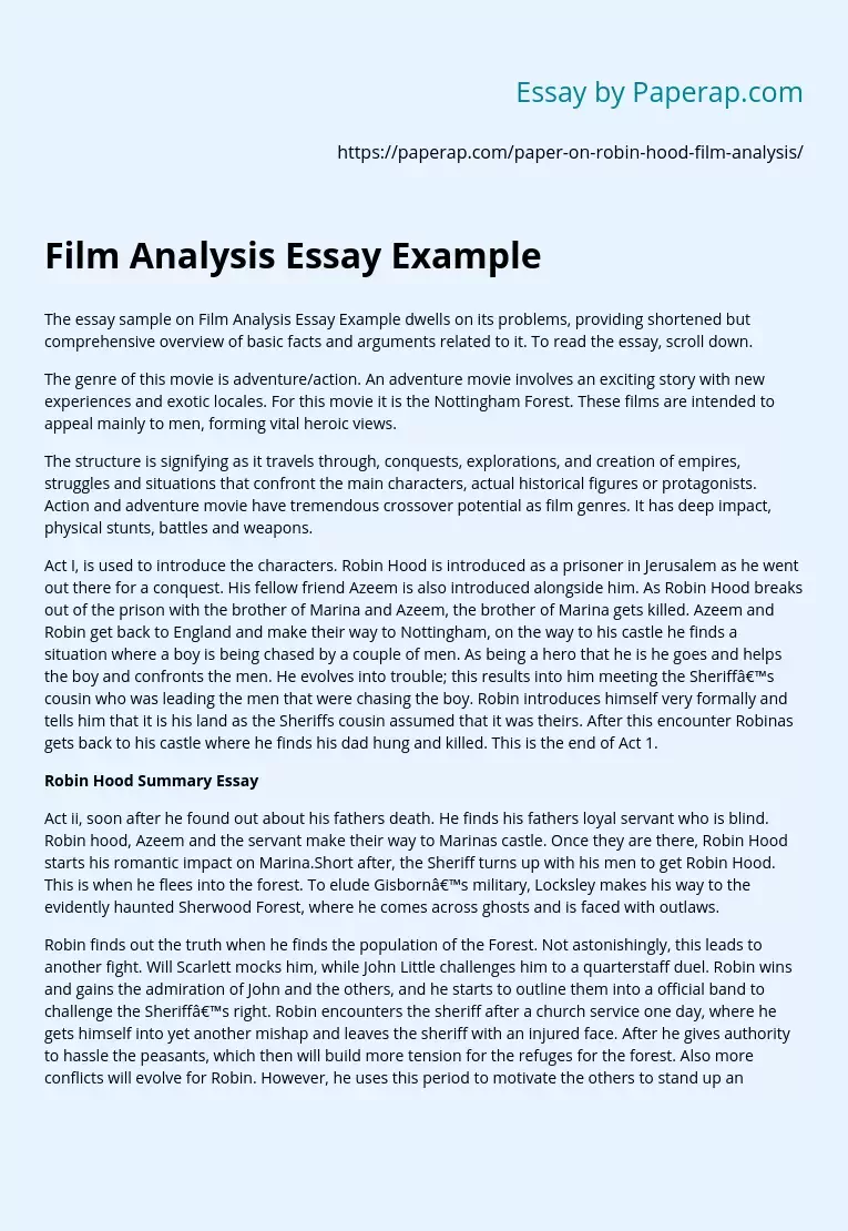 Film Analysis Essay Example