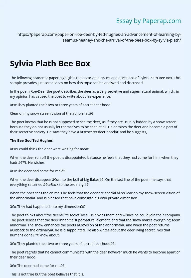 Sylvia Plath Bee Box