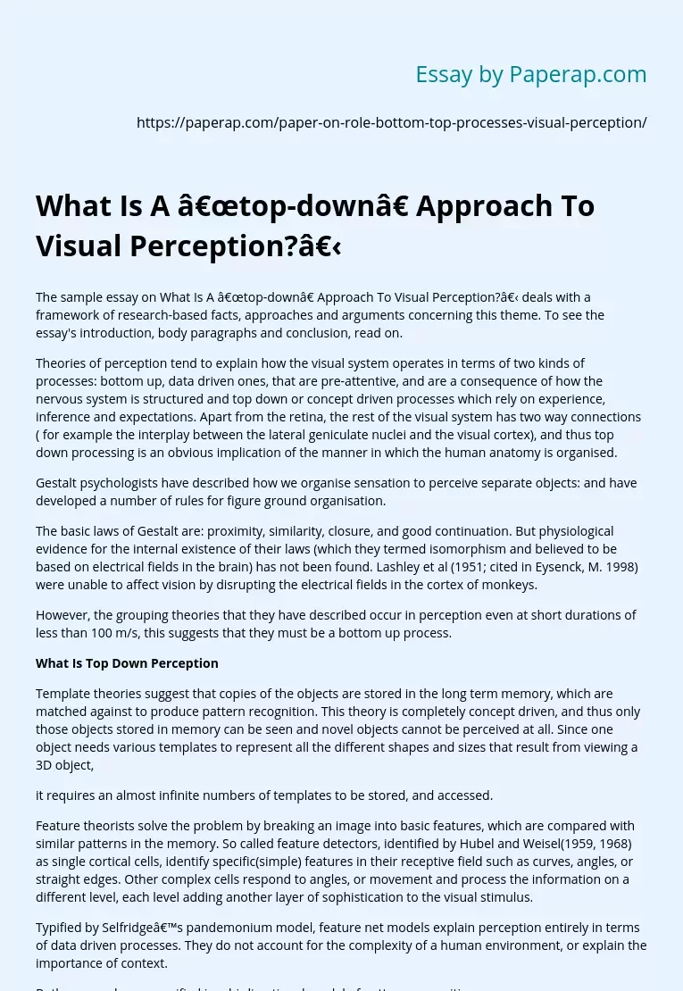 What Is A “top-down” Approach To Visual Perception?​