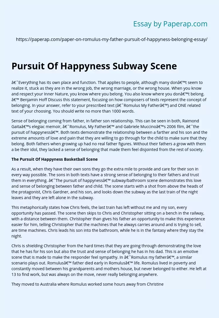 pursuit of happiness essay