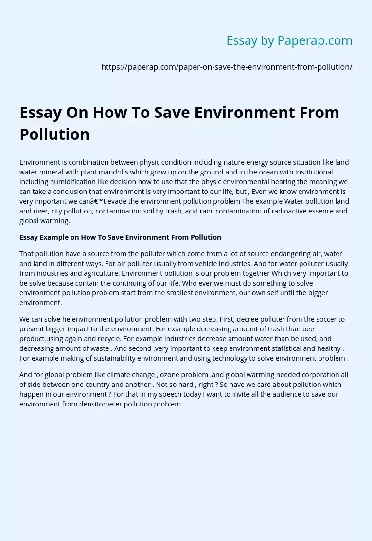 essay on the topic environmental pollution