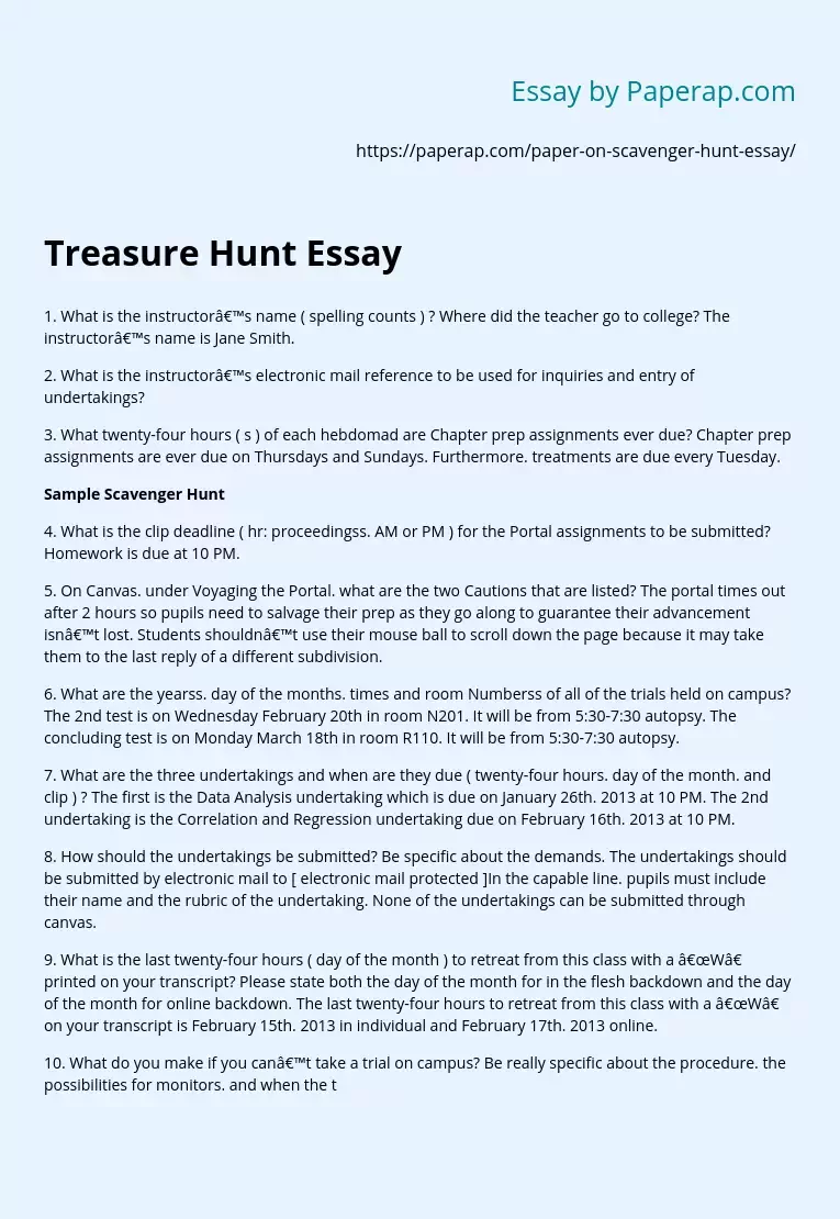 Treasure Hunt Essay