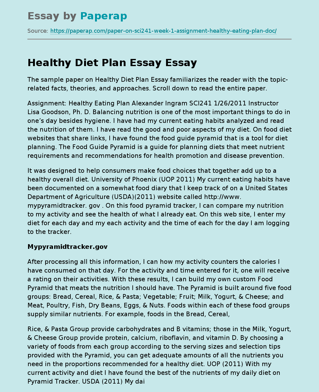 Healthy Diet Plan Essay
