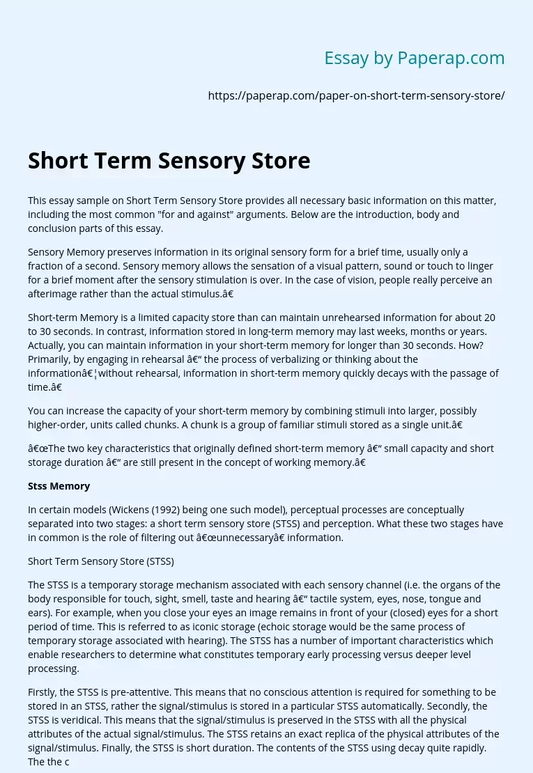 Short Term Sensory Store