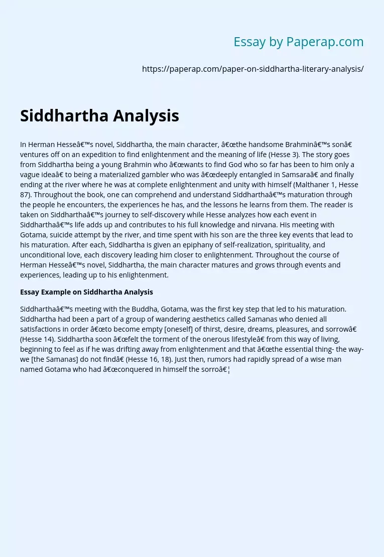 Siddhartha Analysis