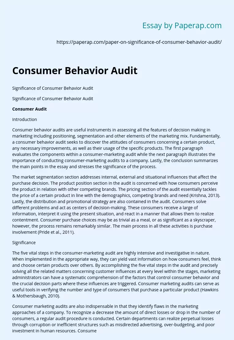 Consumer Behavior Audit