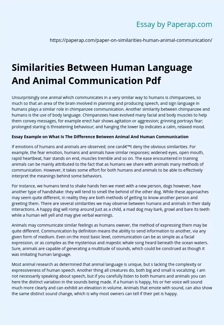 Similarities Between Human Language And Animal Communication Pdf Free Essay  Example