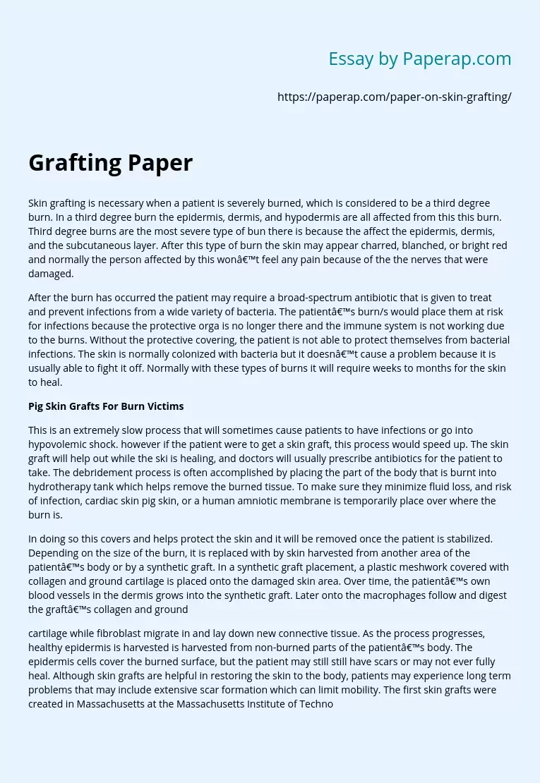 Grafting Paper