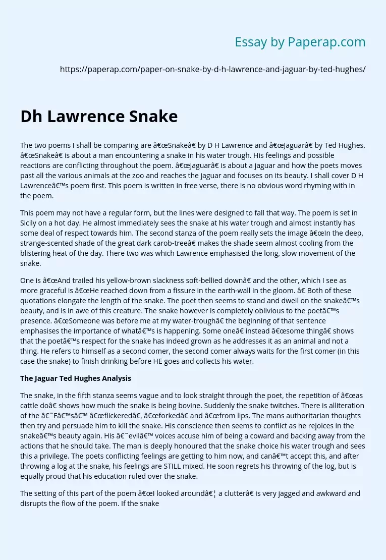 Dh Lawrence Snake