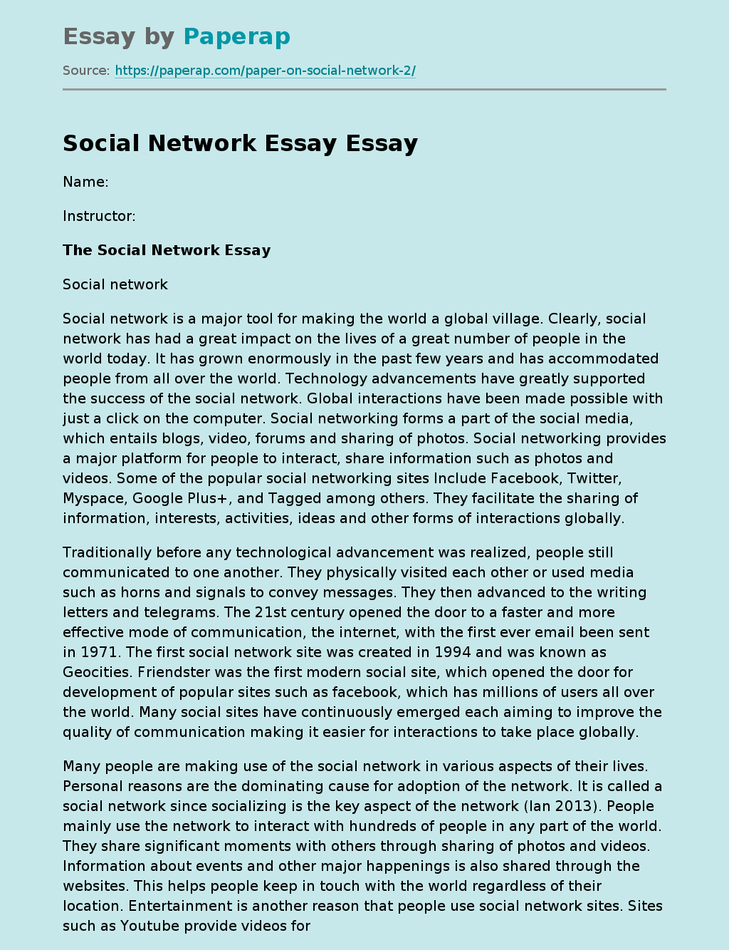 Social Network Essay