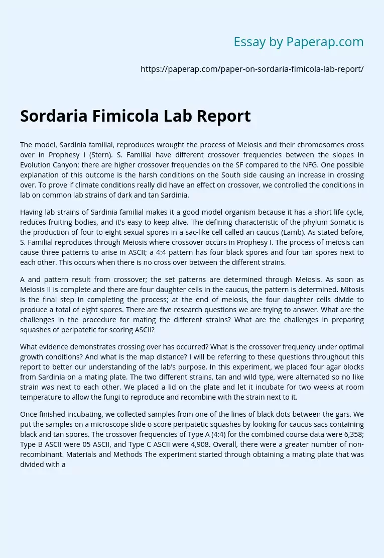 Sordaria Fimicola Lab Report