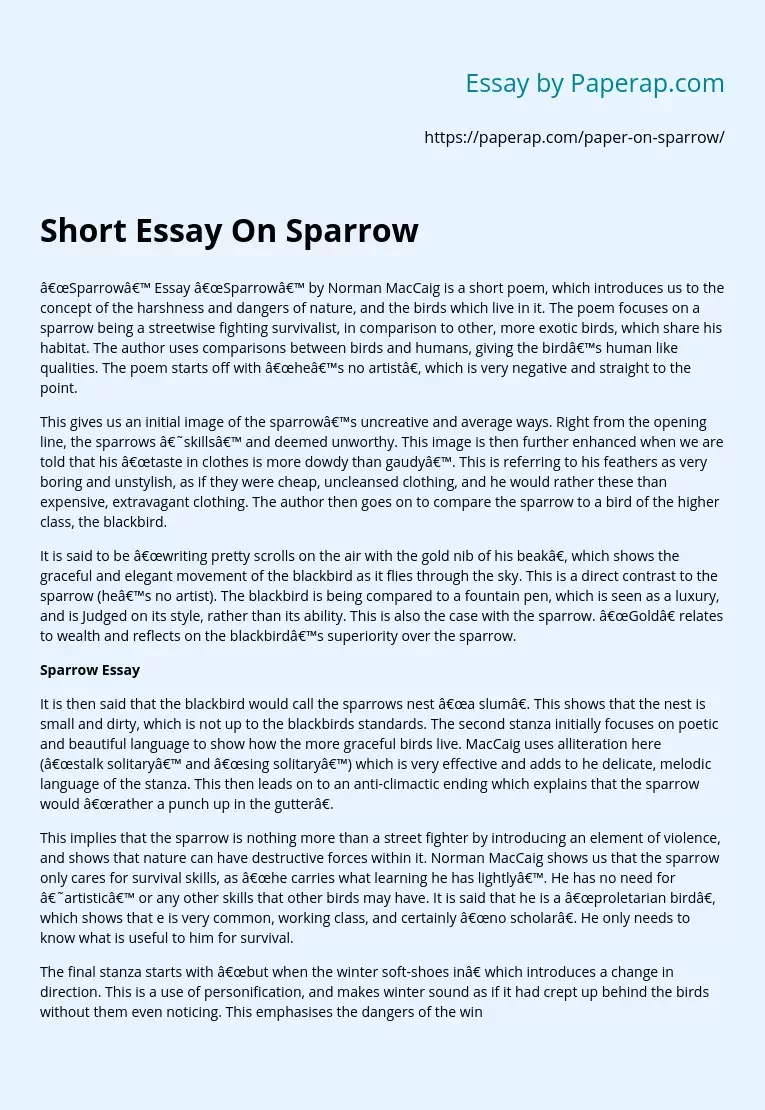 Short Essay On Sparrow