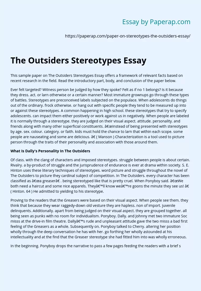 The Outsiders Stereotypes Essay