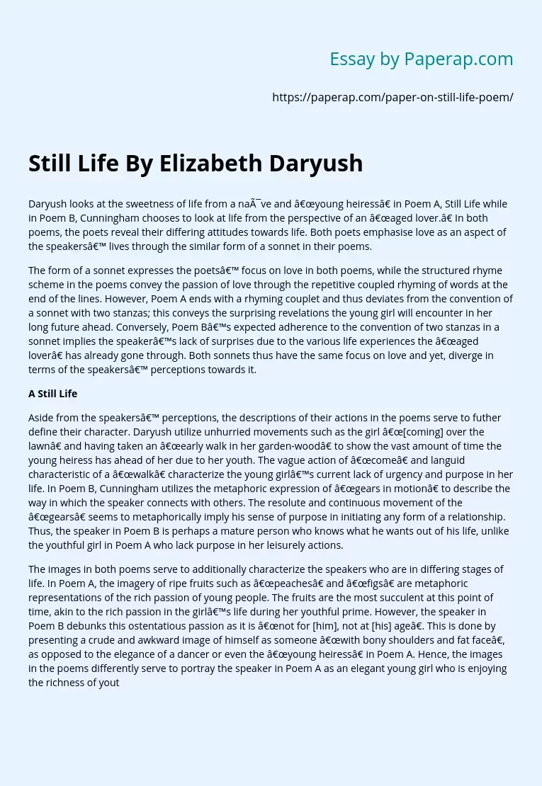 Still Life By Elizabeth Daryush