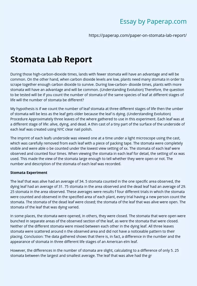 Stomata Lab Report