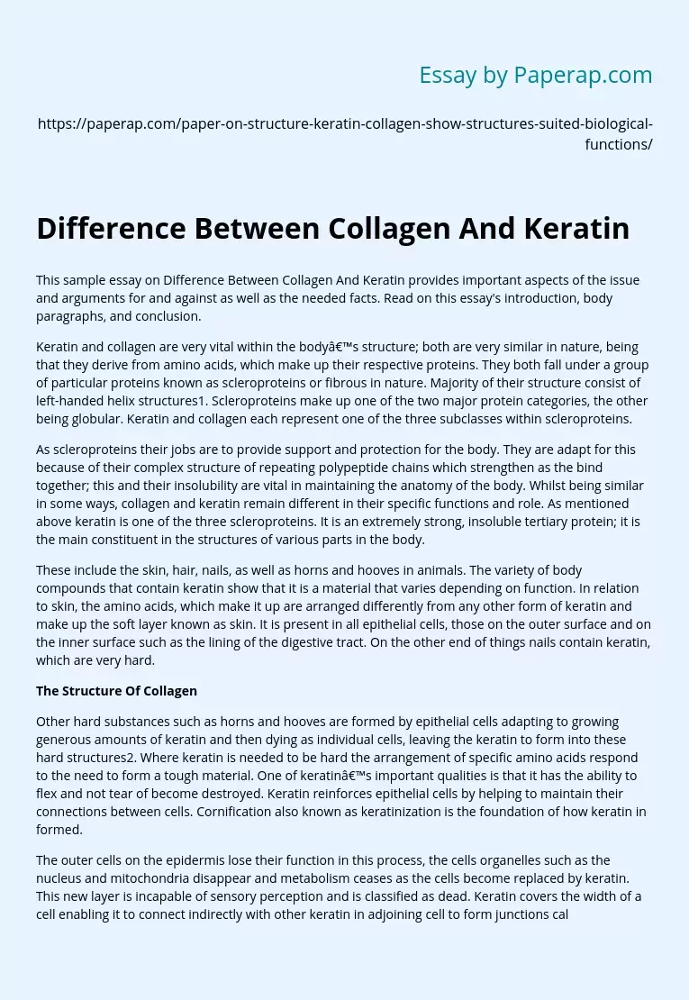 Difference Between Collagen And Keratin