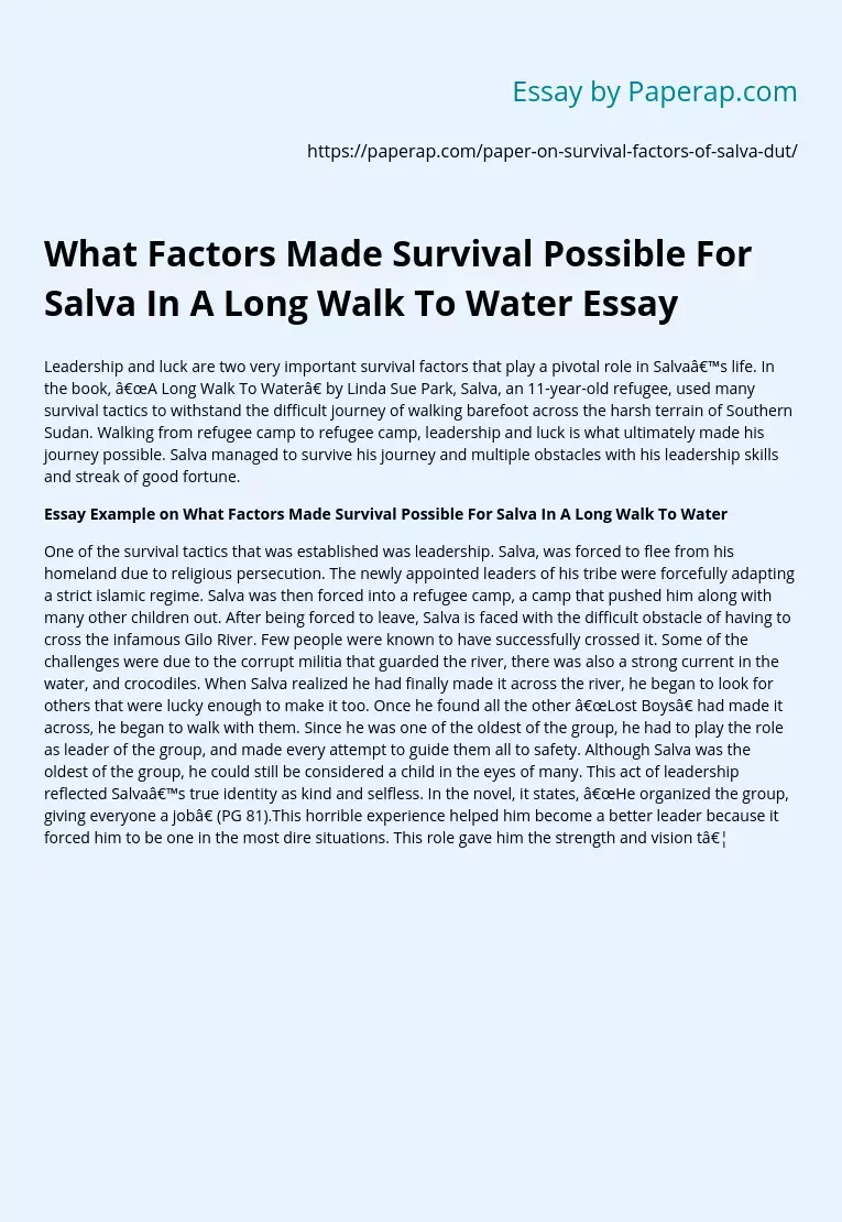 What Factors Made Survival Possible For Salva In A Long Walk To Water Essay