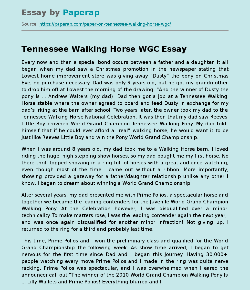 Tennessee Walking Horse WGC