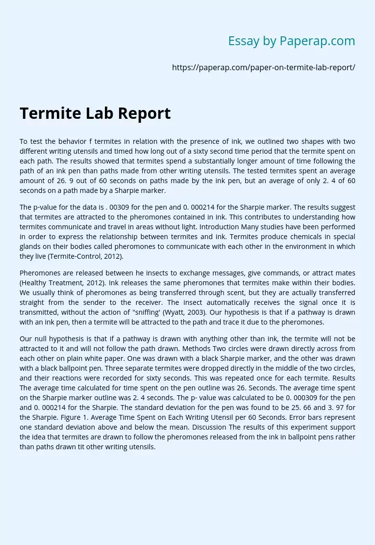 Termite Lab Report