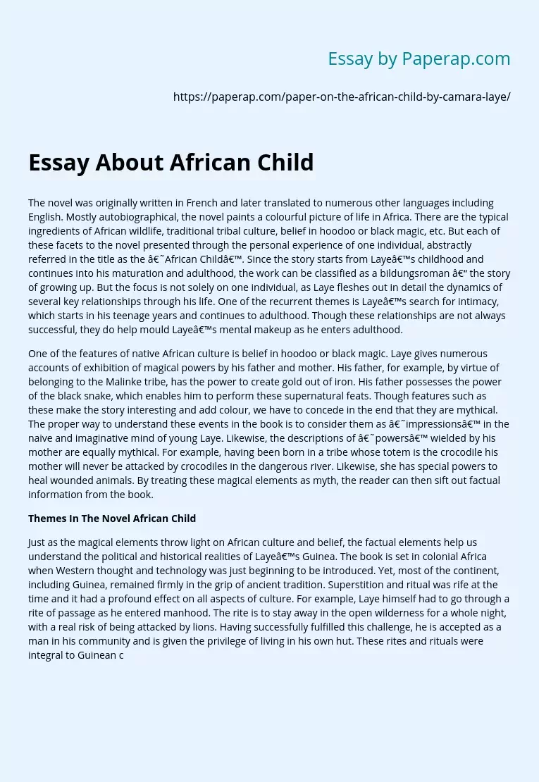 Essay About African Child