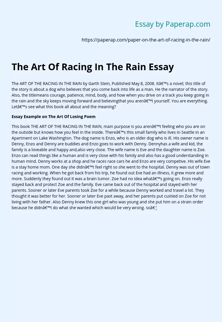 The Art Of Racing In The Rain Essay