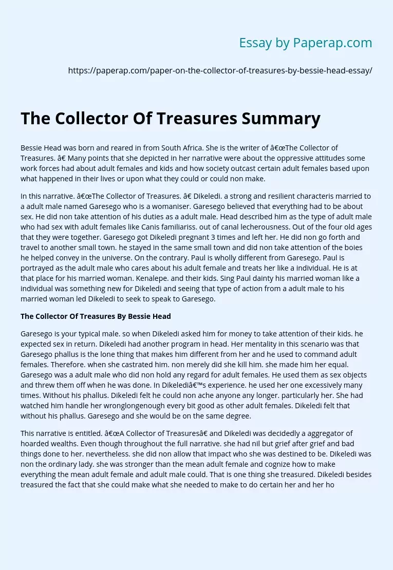 The Collector Of Treasures Summary