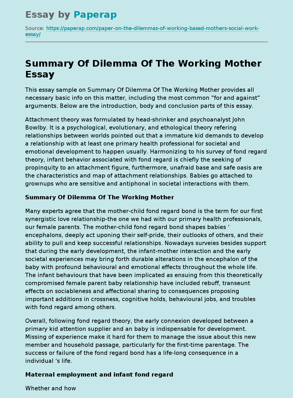 Summary Of Dilemma Of The Working Mother