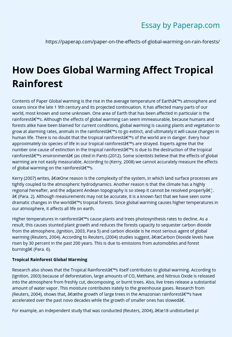 How Does Global Warming Affect Tropical Rainforest