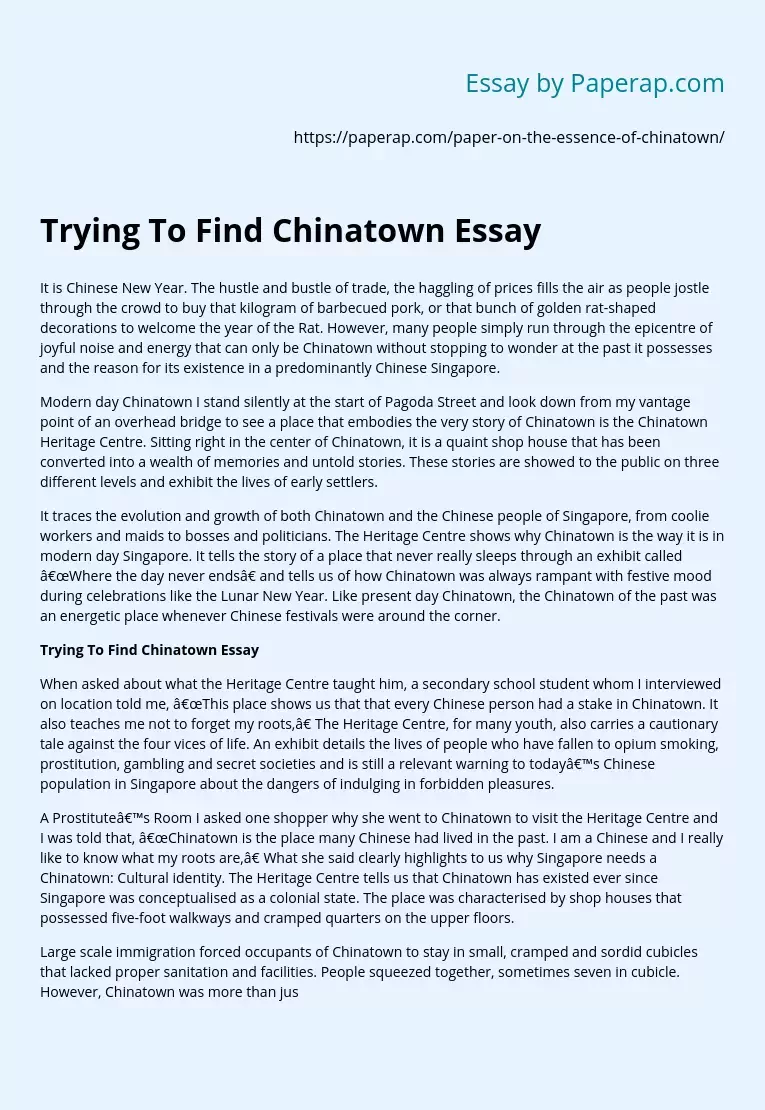 Trying To Find Chinatown Essay