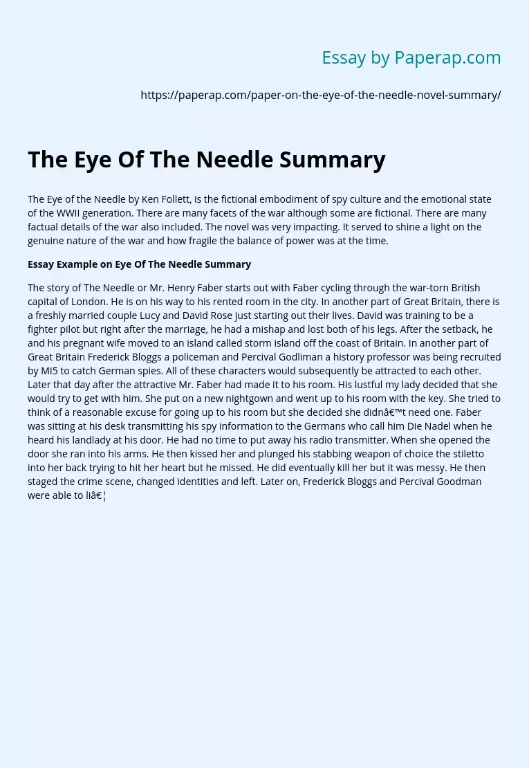 The Eye Of The Needle Summary