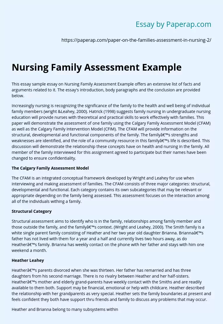 Nursing Family Assessment Example
