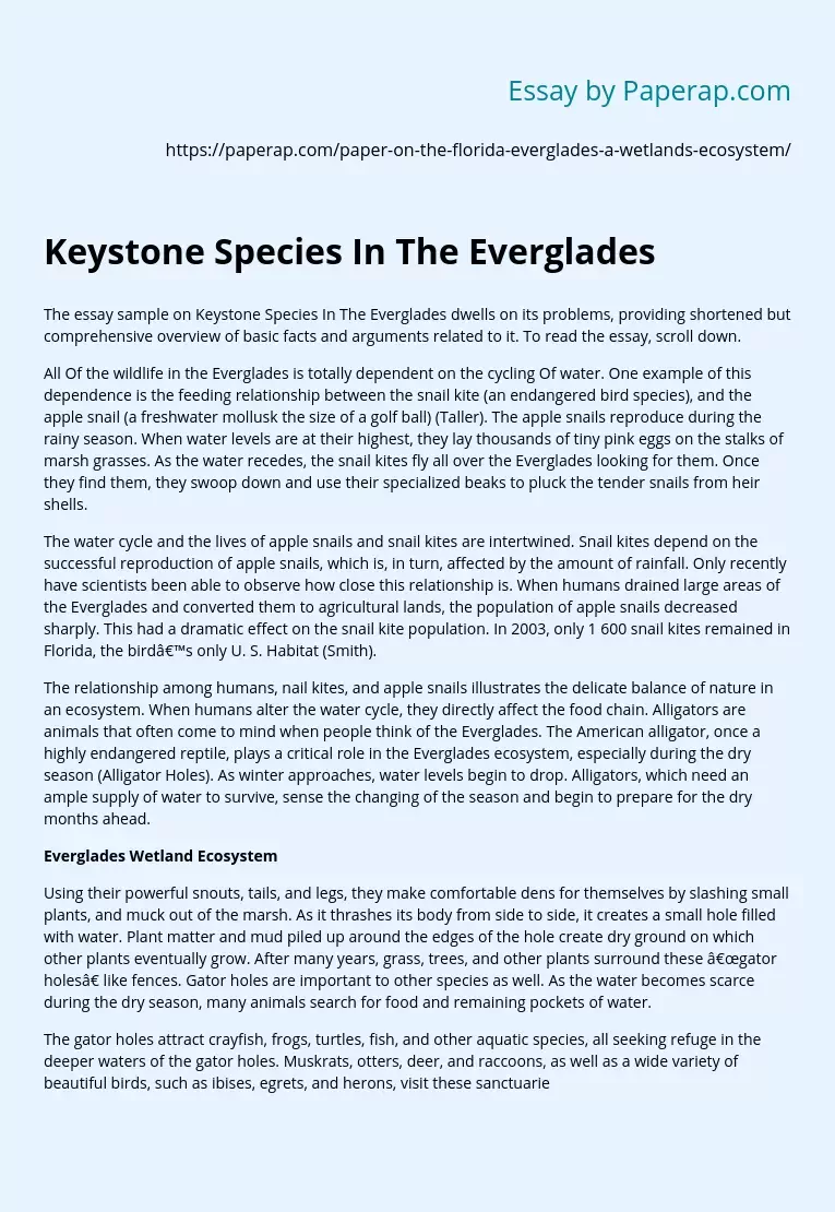 Keystone Species In The Everglades