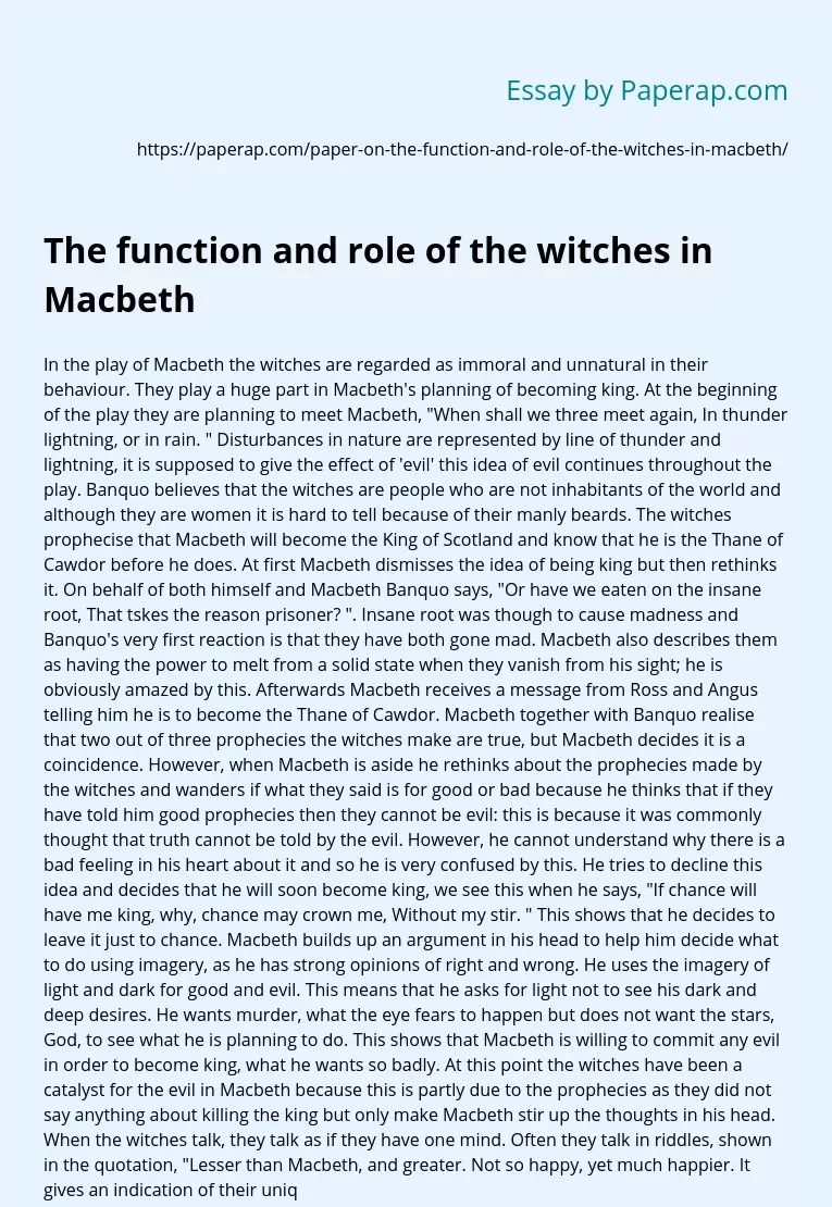 The function and role of the witches in Macbeth