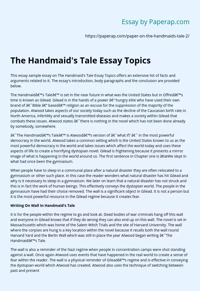 The Handmaid's Tale Essay Topics