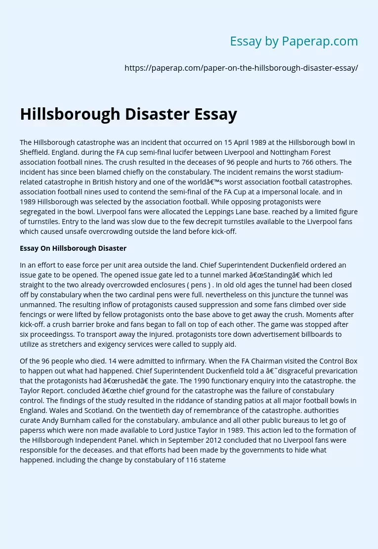 Hillsborough Disaster Essay