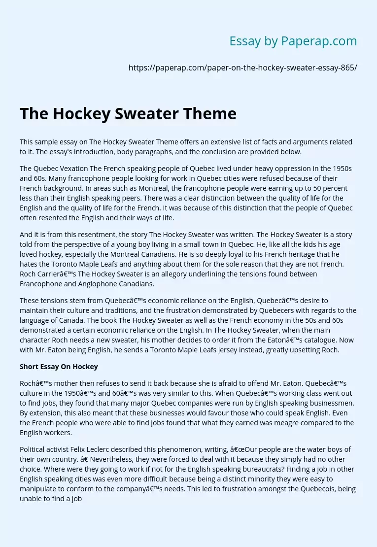 essay on hockey