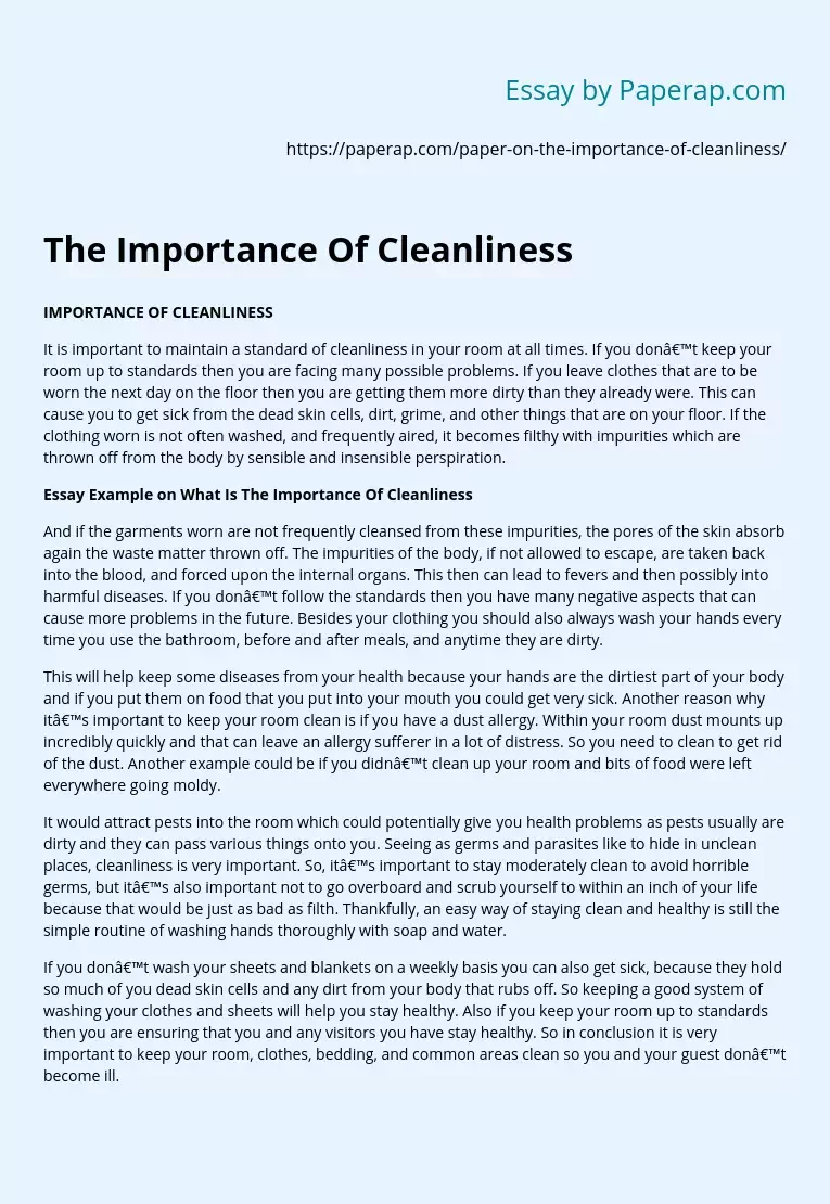 The Importance Of Cleanliness