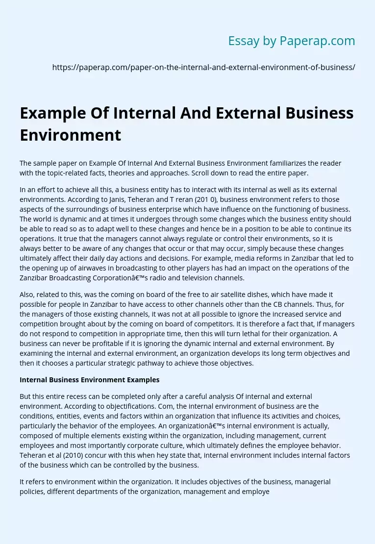 Example Of Internal And External Business Environment