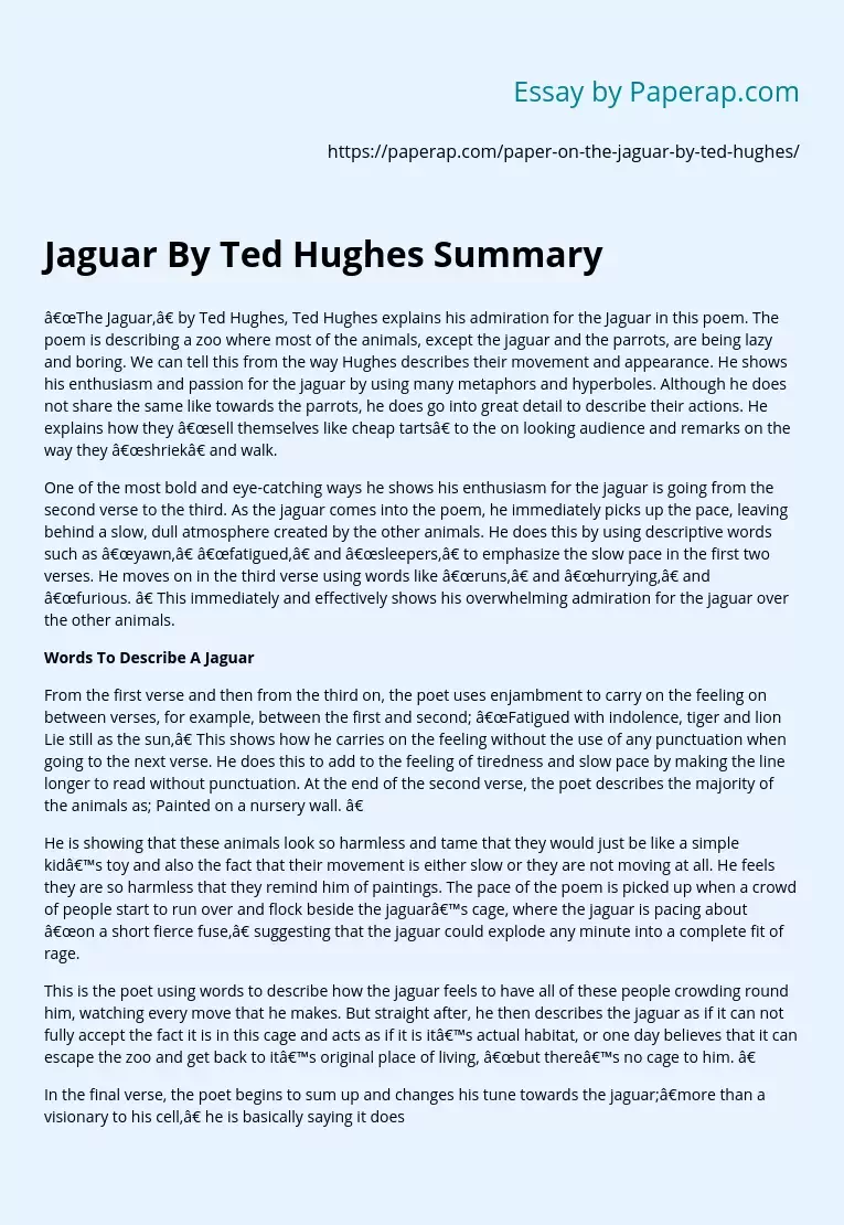 Jaguar By Ted Hughes Summary