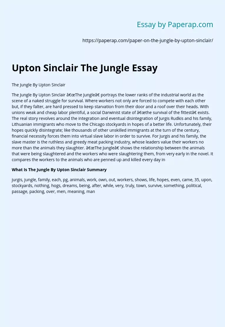 Upton Sinclair The Jungle Essay