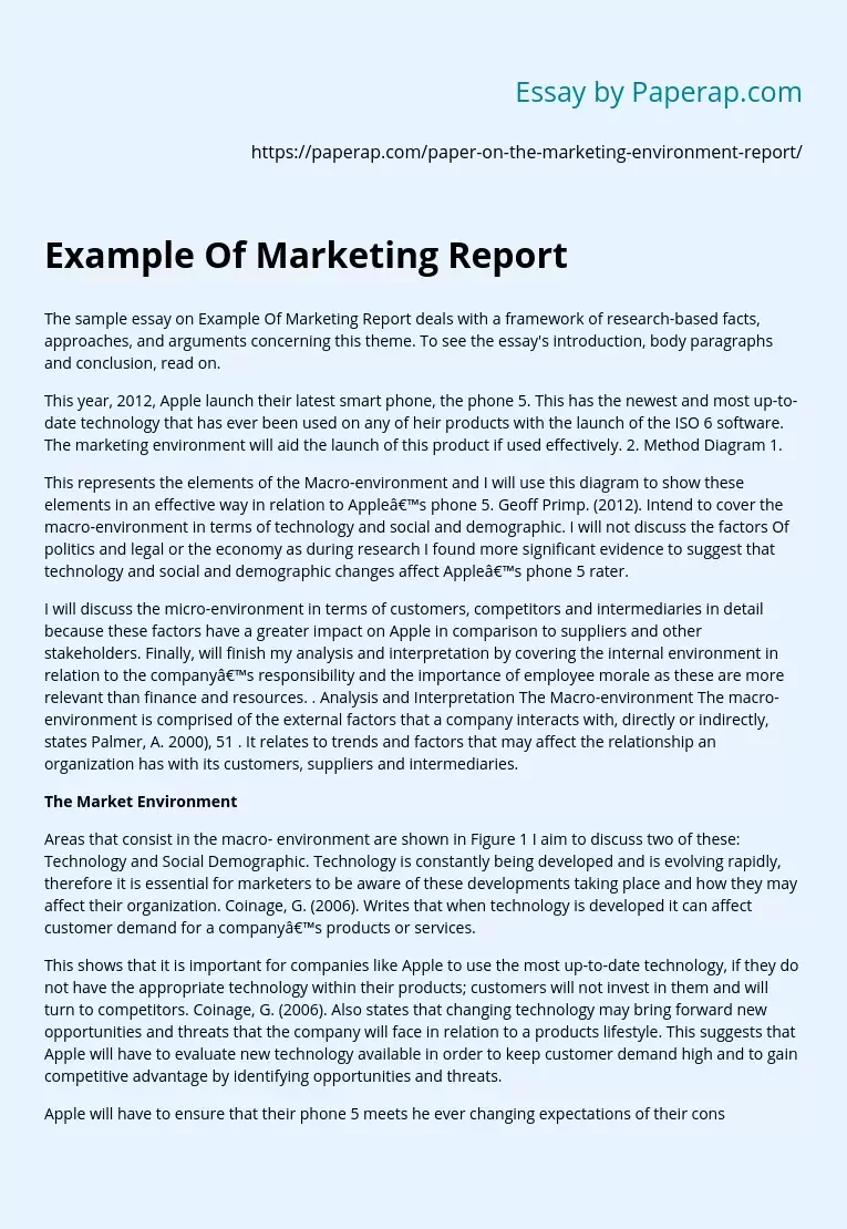 Example Of Marketing Report
