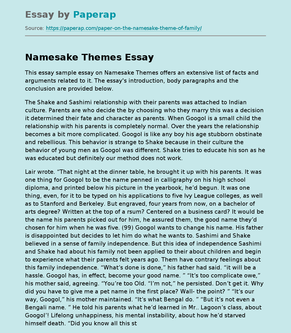 the namesake theme essay