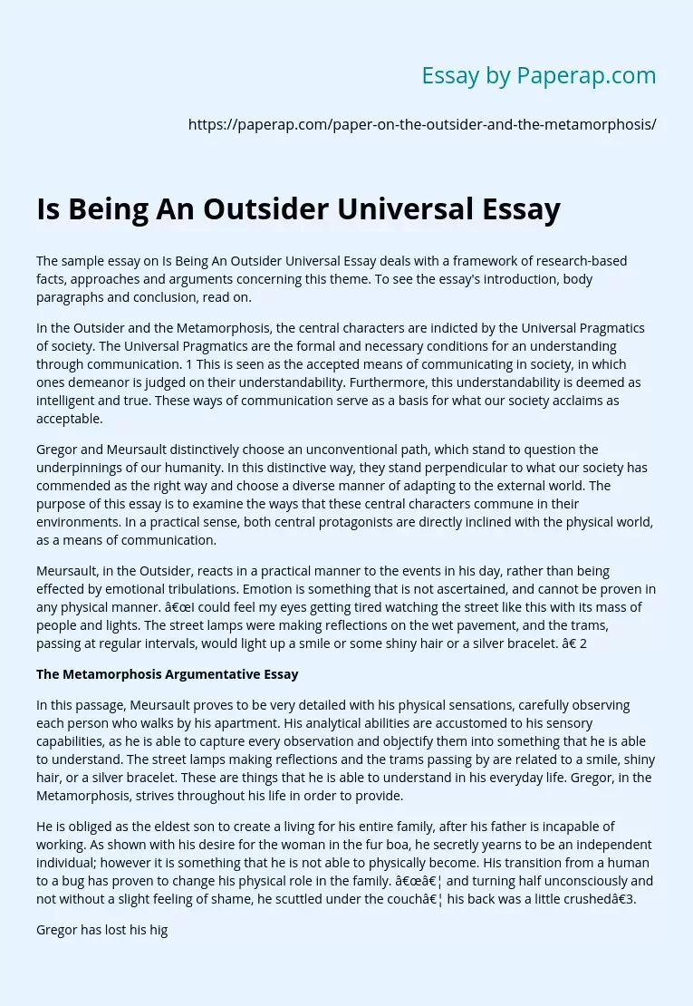 Is Being An Outsider Universal Essay