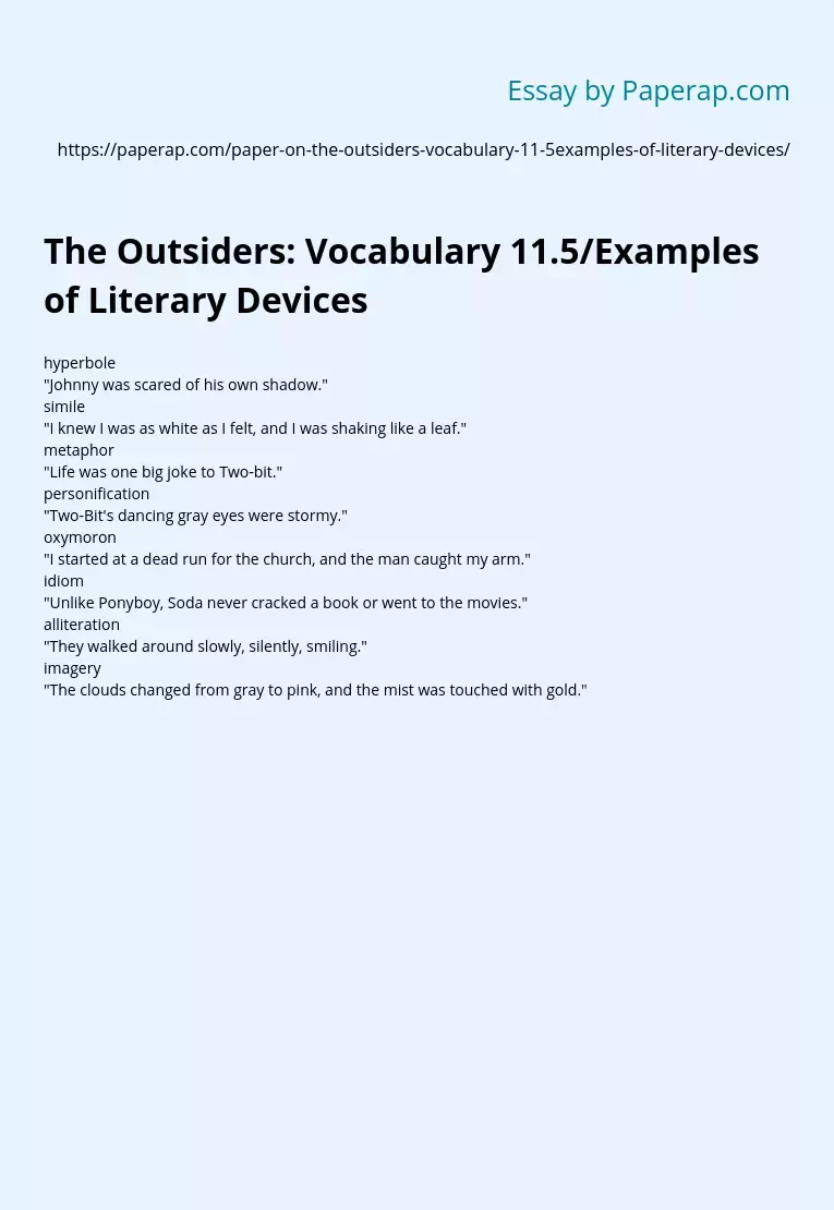 The Outsiders: Vocabulary 11.5/Examples of Literary Devices