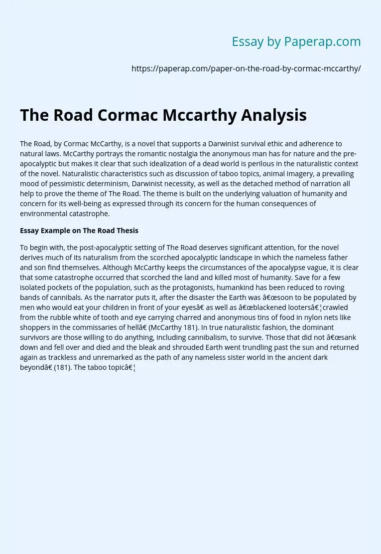 The Road Cormac Mccarthy Analysis